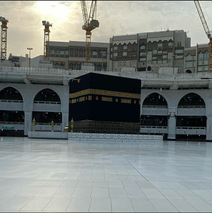 صورة المقال