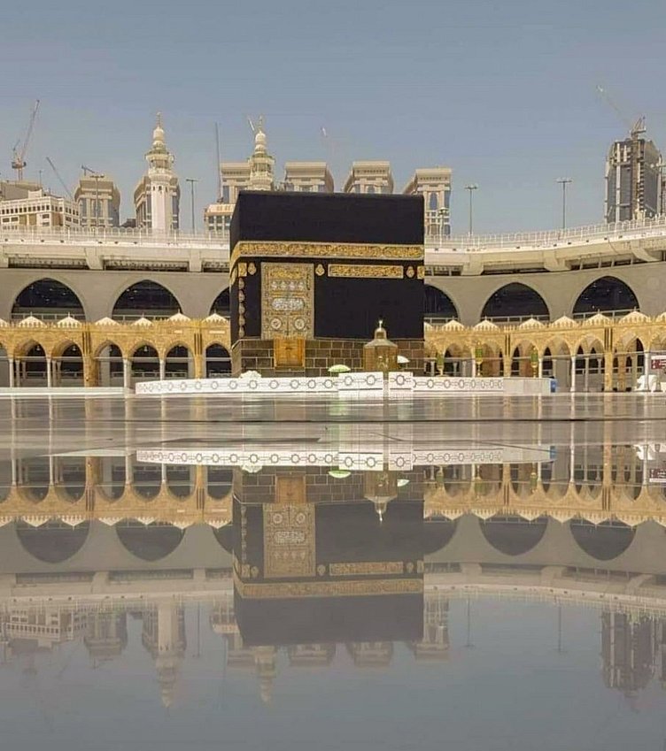 صورة المقال